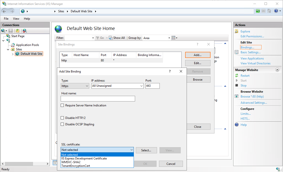 This image shows how to create a binding in IIS